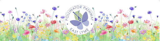Pollinator Pathway East Lyme